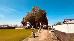 春日神社(奈良県)