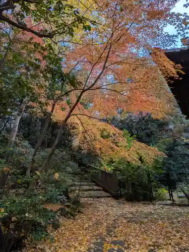 赤坂氷川神社(東京都)