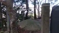 阿久津「田村神社」（郡山市阿久津町）旧社名：伊豆箱根三嶋三社の建物その他