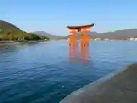 厳島神社の{uncategorized: "未分類", other: "その他", undefined: "問題あり", building: "その他建物", grave: "お墓", sacred_gate: "鳥居", guardian: "狛犬", statue: "像", buddha: "仏像", history: "歴史", nature: "自然", garden: "庭園", animal: "動物", pagoda: "塔", temizu: "手水舎", mountain_gate: "山門・神門", sanctuary: "本殿・本堂", subordinate: "末社・摂社", art: "芸術", scenery: "景色", jizo: "地蔵", ema: "絵馬", goshuin: "御朱印", omikuji: "おみくじ", items: "授与品その他", amulet: "お守り", goshuincho: "御朱印帳", eats: "食事", festival: "お祭り", votive_dance: "神楽", shichigosan: "七五三参", wedding: "結婚式", experience: "体験その他", initially: "初詣", around: "周辺", anti_infection: "感染症対策"}