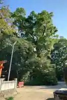 宗像神社(愛媛県)