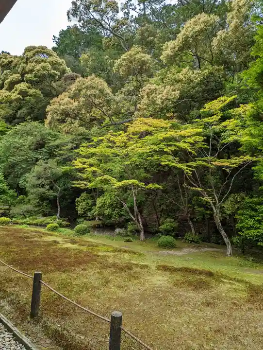 南禅院(京都府)