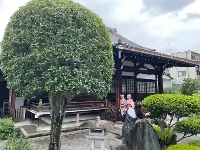 日體寺(京都府)