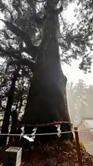 玉置神社(奈良県)