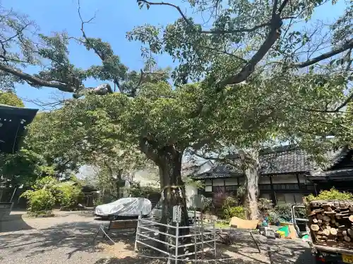生根神社(大阪府)