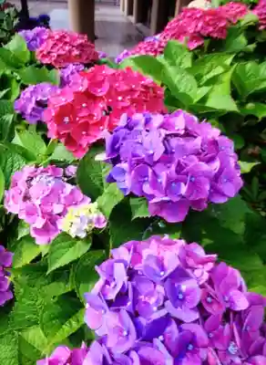 福王山  慈眼寺の自然