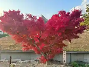 伊勢の国 四天王寺(三重県)(2023年11月24日(金) 19時24分33秒投稿)