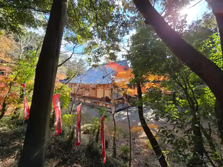 観心寺(大阪府)