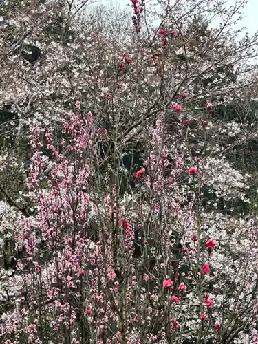 弁財天(神奈川県)