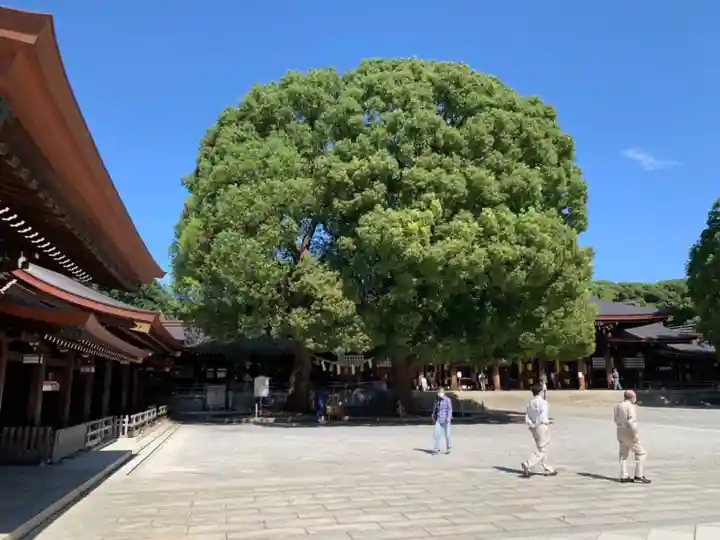 明治神宮の自然