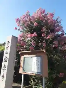 西方山極楽寺(岐阜県)(2024年08月18日(日) 21時37分06秒投稿)