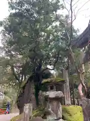 磐船神社の建物その他