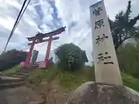 菅原神社(邑楽町石打)(群馬県)