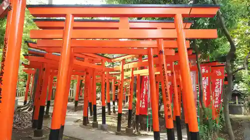 東伏見稲荷神社の鳥居