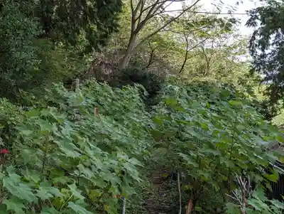 大乗寺(京都府)