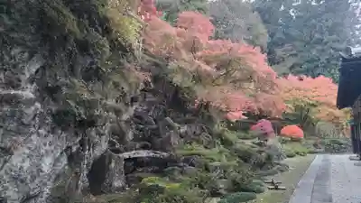 圓融寺(埼玉県)