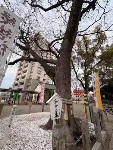 田光八幡社の{uncategorized: "未分類", other: "その他", undefined: "問題あり", building: "その他建物", grave: "お墓", sacred_gate: "鳥居", guardian: "狛犬", statue: "像", buddha: "仏像", history: "歴史", nature: "自然", garden: "庭園", animal: "動物", pagoda: "塔", temizu: "手水舎", mountain_gate: "山門・神門", sanctuary: "本殿・本堂", subordinate: "末社・摂社", art: "芸術", scenery: "景色", jizo: "地蔵", ema: "絵馬", goshuin: "御朱印", omikuji: "おみくじ", items: "授与品その他", amulet: "お守り", goshuincho: "御朱印帳", eats: "食事", festival: "お祭り", votive_dance: "神楽", shichigosan: "七五三参", wedding: "結婚式", experience: "体験その他", initially: "初詣", around: "周辺", anti_infection: "感染症対策"}