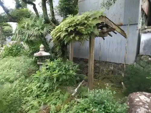 大日寺の庭園