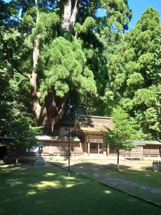 若狭姫神社(若狭彦神社下社)(福井県)