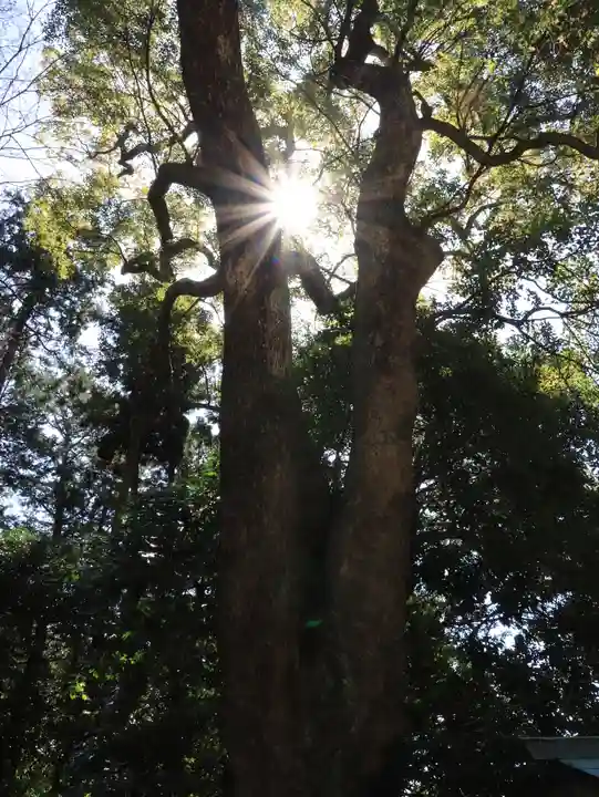 久能山東照宮(静岡県)