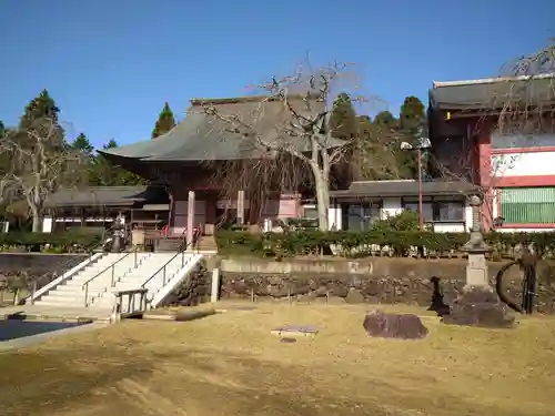 芝山仁王尊 観音教寺の本殿・本堂