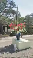仁和寺の芸術