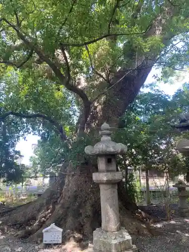 伊久比売神社の自然