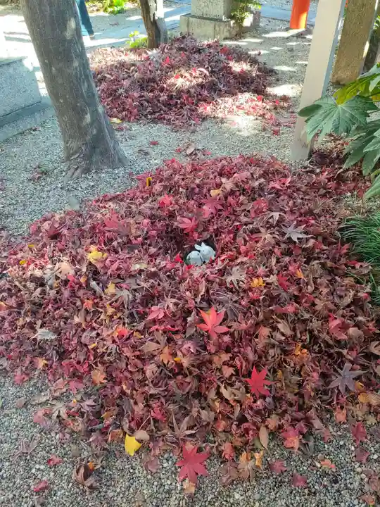 三輪神社の庭園