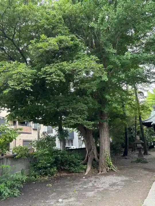東小岩天祖神社(東京都)