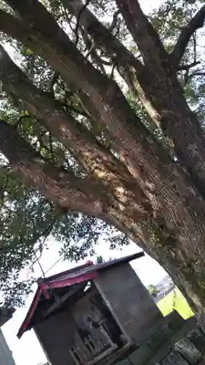 延命寺(埼玉県)