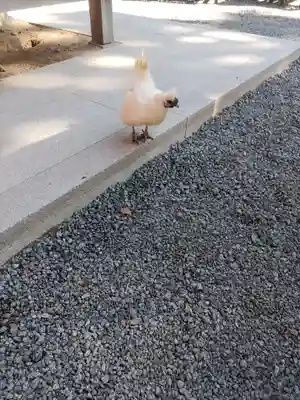 高屋敷稲荷神社(福島県)
