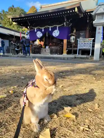 下新倉氷川八幡神社(埼玉県)