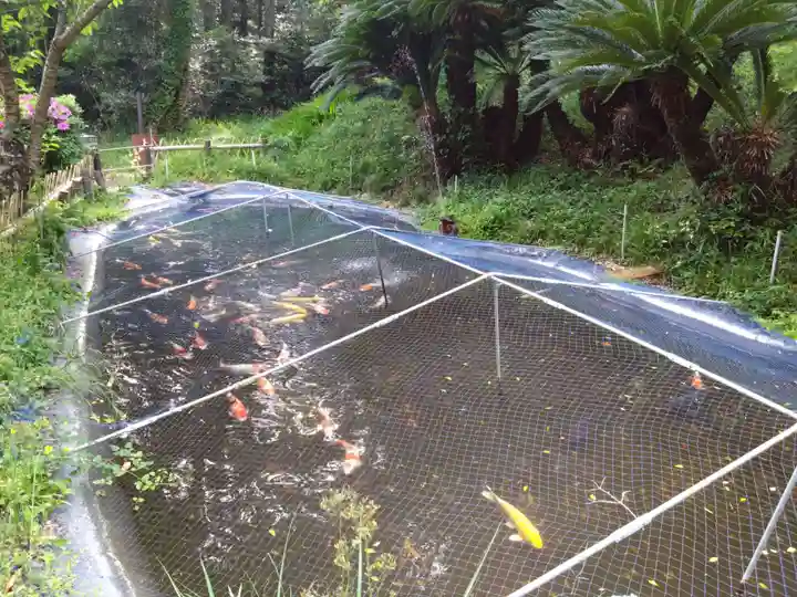 百々神社(愛知県)