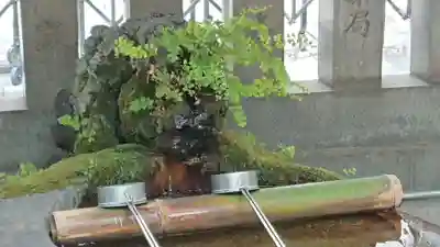 元三島神社の手水舎