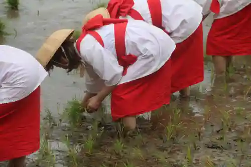 高屋敷稲荷神社のお祭り