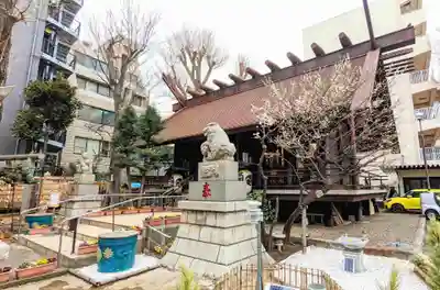 高円寺氷川神社の本殿・本堂