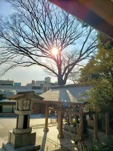 東郷神社の景色