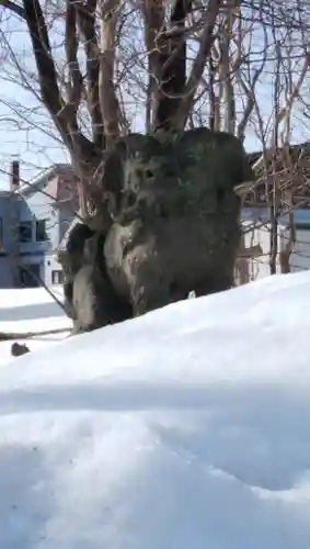 遠別神社の狛犬