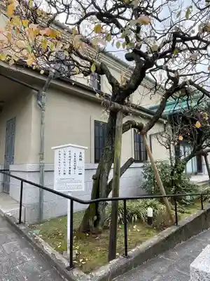 泉岳寺(東京都)