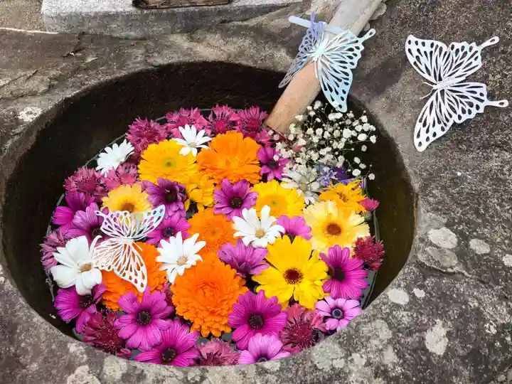 真言宗 善通寺派 薬王寺の手水舎