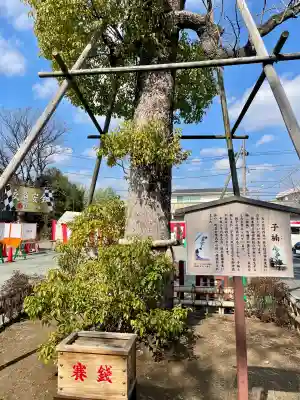 溝口神社の{uncategorized: "未分類", other: "その他", undefined: "問題あり", building: "その他建物", grave: "お墓", sacred_gate: "鳥居", guardian: "狛犬", statue: "像", buddha: "仏像", history: "歴史", nature: "自然", garden: "庭園", animal: "動物", pagoda: "塔", temizu: "手水舎", mountain_gate: "山門・神門", sanctuary: "本殿・本堂", subordinate: "末社・摂社", art: "芸術", scenery: "景色", jizo: "地蔵", ema: "絵馬", goshuin: "御朱印", omikuji: "おみくじ", items: "授与品その他", amulet: "お守り", goshuincho: "御朱印帳", eats: "食事", festival: "お祭り", votive_dance: "神楽", shichigosan: "七五三参", wedding: "結婚式", experience: "体験その他", initially: "初詣", around: "周辺", anti_infection: "感染症対策"}