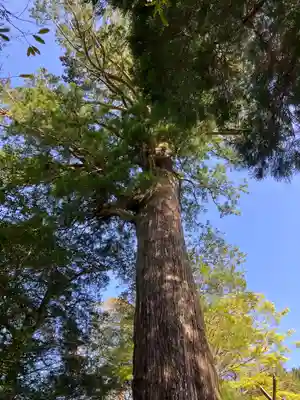 十根川神社(宮崎県)