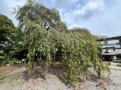 大石神社(京都府)