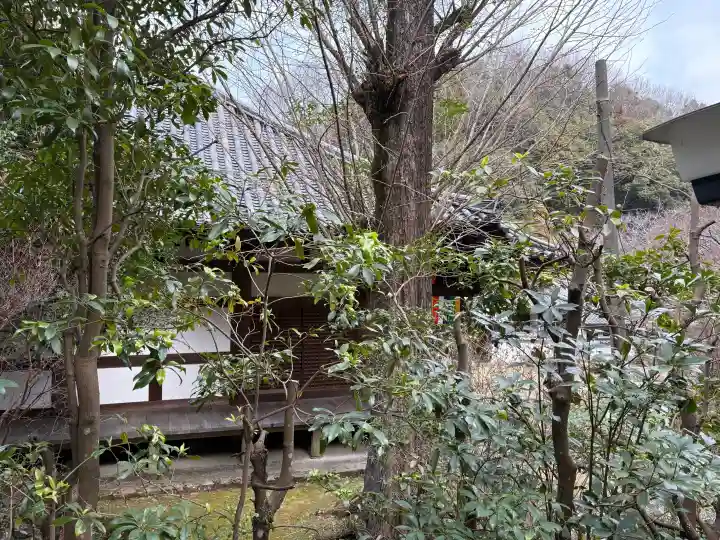 神童寺の{uncategorized: "未分類", other: "その他", undefined: "問題あり", building: "その他建物", grave: "お墓", sacred_gate: "鳥居", guardian: "狛犬", statue: "像", buddha: "仏像", history: "歴史", nature: "自然", garden: "庭園", animal: "動物", pagoda: "塔", temizu: "手水舎", mountain_gate: "山門・神門", sanctuary: "本殿・本堂", subordinate: "末社・摂社", art: "芸術", scenery: "景色", jizo: "地蔵", ema: "絵馬", goshuin: "御朱印", omikuji: "おみくじ", items: "授与品その他", amulet: "お守り", goshuincho: "御朱印帳", eats: "食事", festival: "お祭り", votive_dance: "神楽", shichigosan: "七五三参", wedding: "結婚式", experience: "体験その他", initially: "初詣", around: "周辺", anti_infection: "感染症対策"}