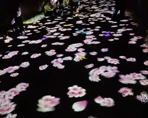 瀧桜神明宮(福島県)