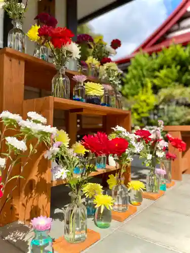 伊達神社(北海道)