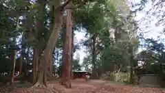 息栖神社の建物その他