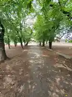 菅原神社の自然