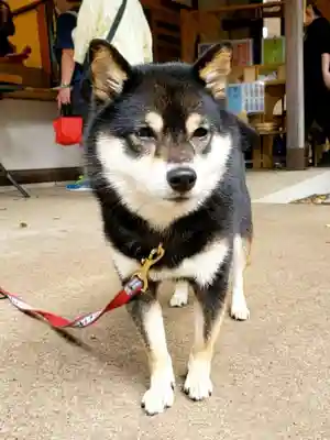 上目黒氷川神社(東京都)