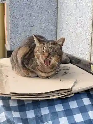 白金氷川神社(東京都)